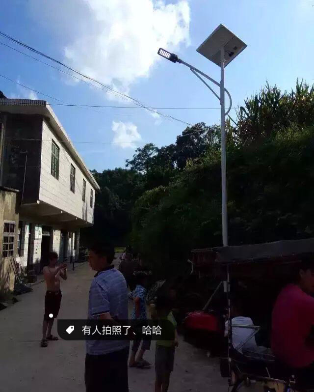 白色新農(nóng)村路燈安裝案例